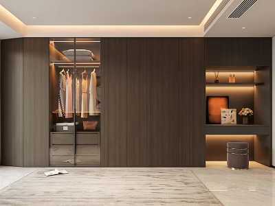 Modern Dark Wood Built in Wardrobe with Hanging Clothes Drawers and Display Shelves 3d model