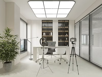 Modern Public Office Space with Open Layout Desk Computer Bookshelf Green Plant and Floor-to-Ceiling Window 3d model