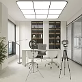 Modern Public Office Space with Open Layout Desk Computer Bookshelf Green Plant and Floor-to-Ceiling Window