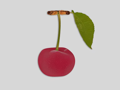 Vibrant Red Cherry with Fresh Green Stem and Shiny Juicy Leaf Surface 3d model