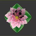 Blooming Pink Lotus Flower with Vibrant Yellow Stamens and Fresh Green Leaves