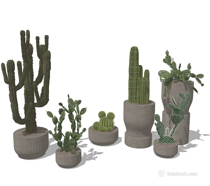 Decorative Cactus Potted Plants Various Sizes Shapes In Stylish Ceramic Pots For Home Office Decor 3d model 