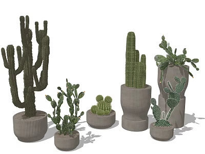 Decorative Cactus Potted Plants Various Sizes Shapes In Stylish Ceramic Pots For Home Office Decor 3d model