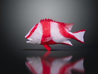 Modern fish snapper 3d model