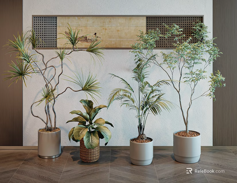 Different Types of Indoor Potted Plants in Ceramic Woven and Metal Pots on Wooden Floor 3d model 