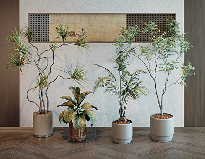 Different Types of Indoor Potted Plants in Ceramic Woven and Metal Pots on Wooden Floor 3d model