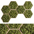 Hexagonal Green Wall With Wooden Frame Featuring Moss For Indoor Decorative Use 3d model
