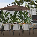 Outdoor Wooden Dining Table And White Wicker Chairs With Brown Parasol Green Plants
