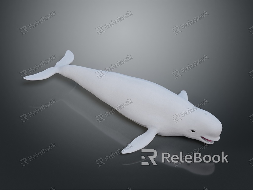 Spotting Dolphin Dolphin Cartoon Dolphin Animation Dolphin Animation Dolphin Animation Character Game Character model