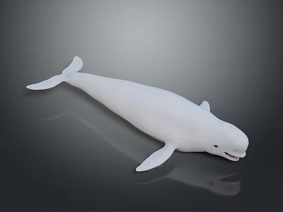White Smiling Whale Model Smooth Surface Household Decorative Item For Home 3d model