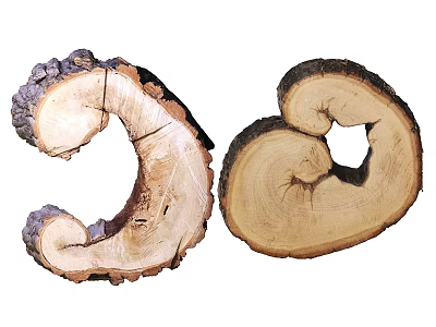 Natural Wood Slices Of Wooden Stone Material With Unique Curved Shape And Growth Rings 3d model