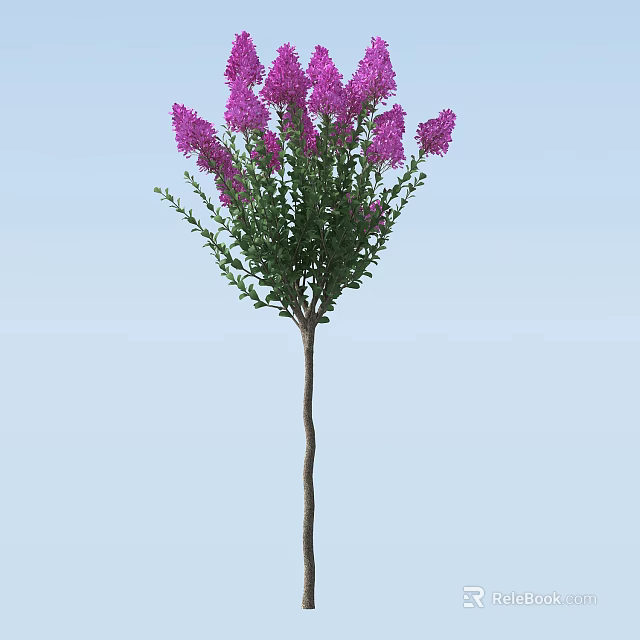 Vibrant Arbor With Dense Purple Flowers And Green Foliage In Garden Landscape 3d model 