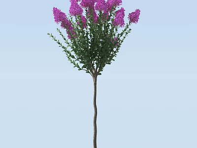 Vibrant Arbor With Dense Purple Flowers And Green Foliage In Garden Landscape 3d model