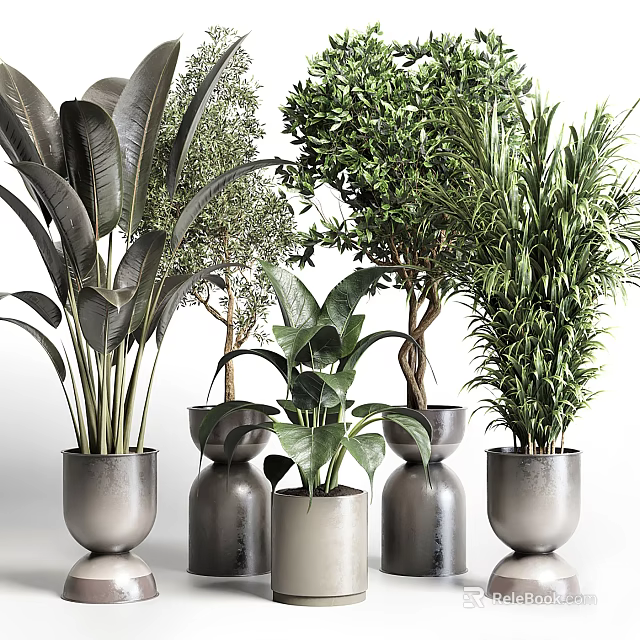 Stylish Indoor Potted Plants With Large Leaves Bamboo And Modern Metallic Pots 3d model 