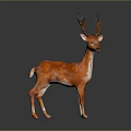 Orange and White Deer Sculpture With Antlers Standing on Dark Background