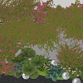 Vibrant Plant Combination With Hanging Vines Large Green Foliage Pink Flowers And Decorative Spheres