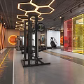 Modern Gym With Fitness Equipment And Hexagonal Lights 3d model