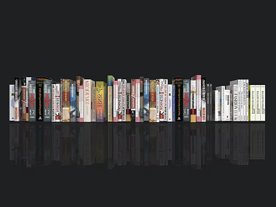 Colorful Book and Magazine Collection With Varied Covers Neatly Arranged on Reflective Surface 3d model
