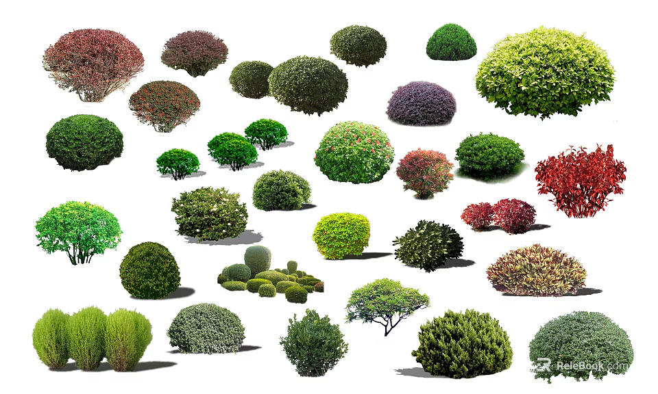 Various Types of Arbor Trees with Different Shapes and Colorful Foliage for Landscaping 3d model 