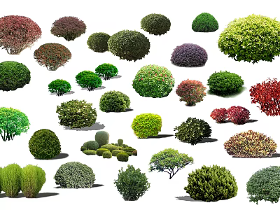 Various Types of Arbor Trees with Different Shapes and Colorful Foliage for Landscaping 3d model