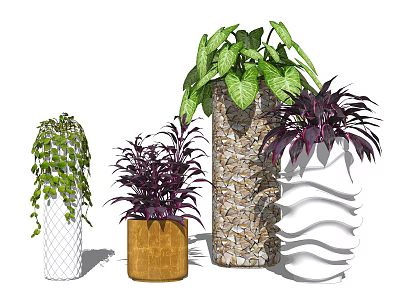 Various Potted Plants With Green Purple Foliage In Decorative Mesh Ceramic Stone Wavy Planters 3d model