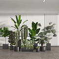 Various Potted Plants In Black Pots With White Walls And Gray Floor Modern Minimalist Space