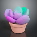 Colorful Succulent Plant with Purple Pink Light Green Leaves in Pink Pot on Dark Background
