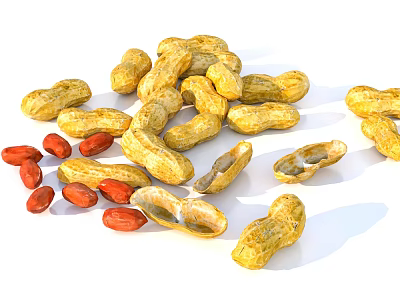 Fresh Raw Yellow Peanuts In Shell And Red Shelled Kernels Food 3d model