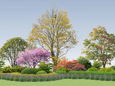 Colorful Garden Flowers And Trees With Purple Blossoms Green Shrubs And Lawn 3d model