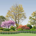 Colorful Garden Flowers And Trees With Purple Blossoms Green Shrubs And Lawn