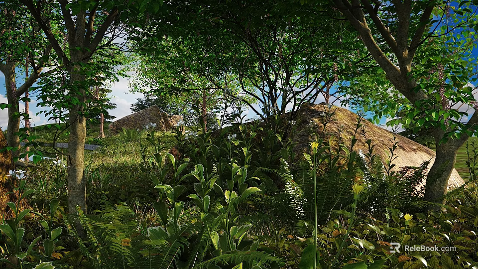 Lush Forest Scenery With Tall Trees Green Foliage Rocks And Sunlight Through Leaves 3d model 
