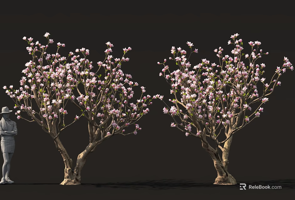 Blooming Flowering Trees With Dense Pink Blossoms And Natural Trunks 3d model 