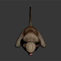 Squatting Monkey With Red Face Detailed Fur And Tail 3D Rendered On Gray Background