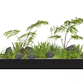 Fern Plants and Green Foliage in Modern Rectangular Planter Box with Stones