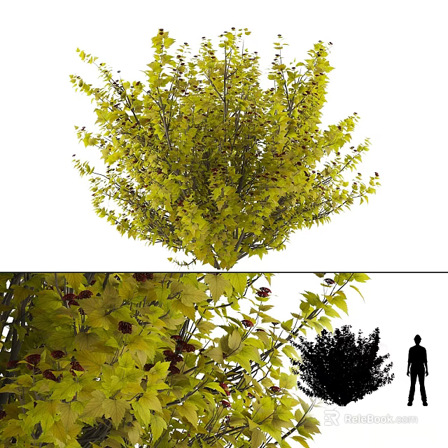 Lush Green Arbor With Dense Foliage Red Fruits And Branch Details 3d model 