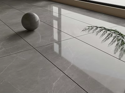 Gray Marble Tile Floor With Sphere And Green Plant Leaves Under Window Light 3d model