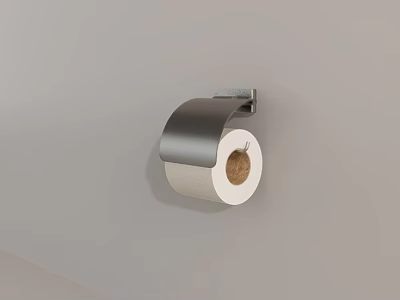 Bathroom Accessories Stainless Steel Wall Mounted Toilet Paper Holder With Roll 3d model