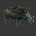 Wild Boar With Long Tusks Dark Skin And Rough Fur On White Background