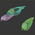 Three Colorful Birds With Vibrant Blue Yellow Green Feathers On Dark Background