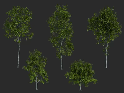 Green Leafy Arbor Collection Featuring Different Heights And Natural Trunk Shapes 3d model