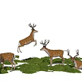 Realistic Deer Models in Various Poses on Green Grassland Background 3d model