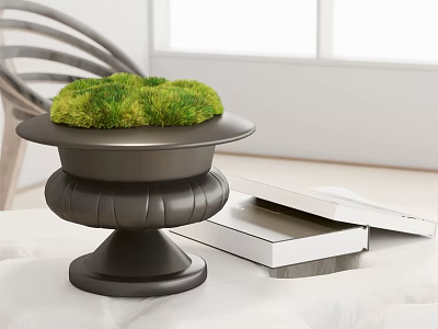 Decorative Black Potted Bonsai With Green Moss On Indoor Table And Books 3d model