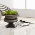 Decorative Black Potted Bonsai With Green Moss On Indoor Table And Books