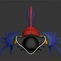 Red Parrot Wearing Pirate Hat With Skull Design And Blue Claws Standing On Reflective Surface
