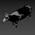 Realistic Black and White Spotted Cow 3D Model Standing Isolated on Gray Background