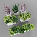 Stylish Garden Decor With White Planters And Various Green Purple Leaf Plants