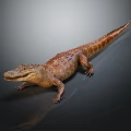 Realistic 3D Rendered Aquatic Crocodile Featuring Brown Skin Lying On Dark Background 3d model