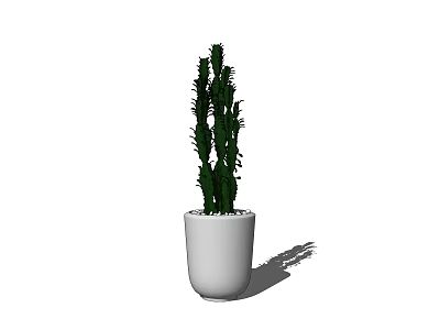 Bonsai Potted Cactus Plant With White Ceramic Pot Indoor Green Decorative Succulent 3d model