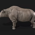 Realistic 3D Rhinoceros Model With Gray Skin Standing On Black Background
