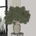 Modern Green Plant Potted Plant 3d model